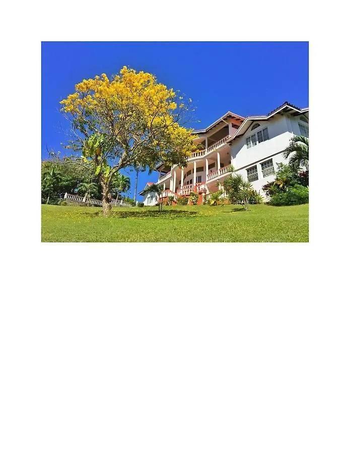 Hotel Alexandrina كينغستاون 3*,